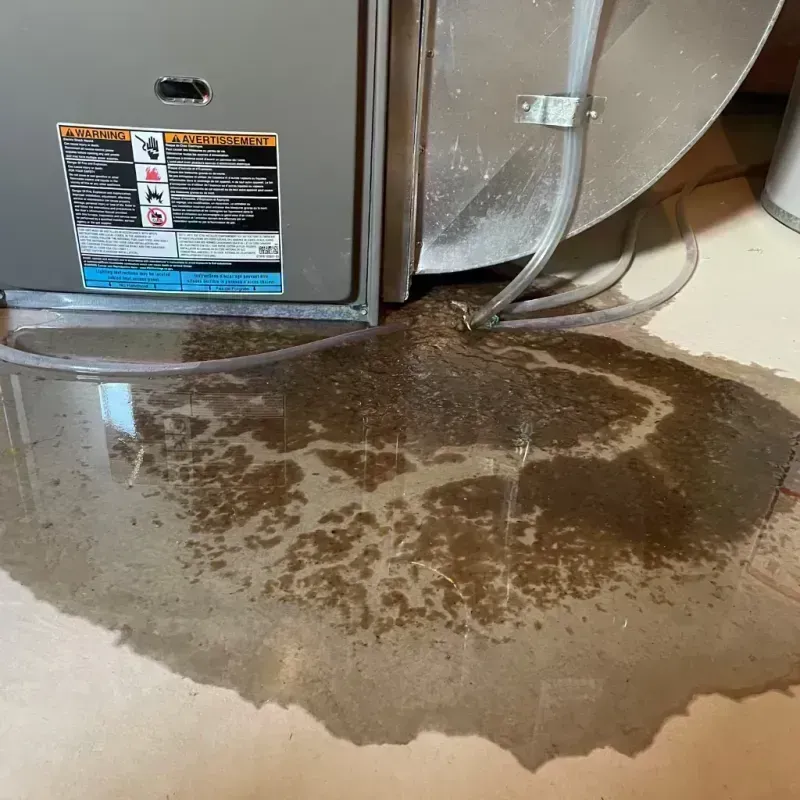 Appliance Leak Cleanup in Rock Hill, NY